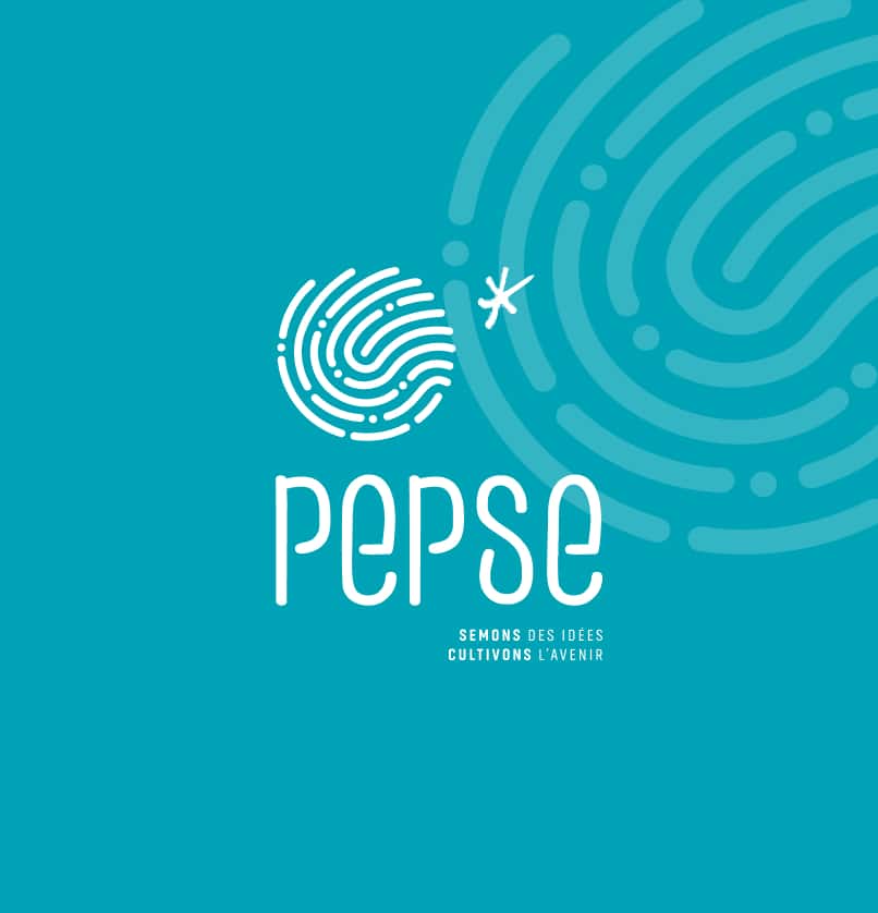 Notre agence de communication web ABERGRAPHIQUE a réalisé le site de la PePSE : Association étudiante et solidaire