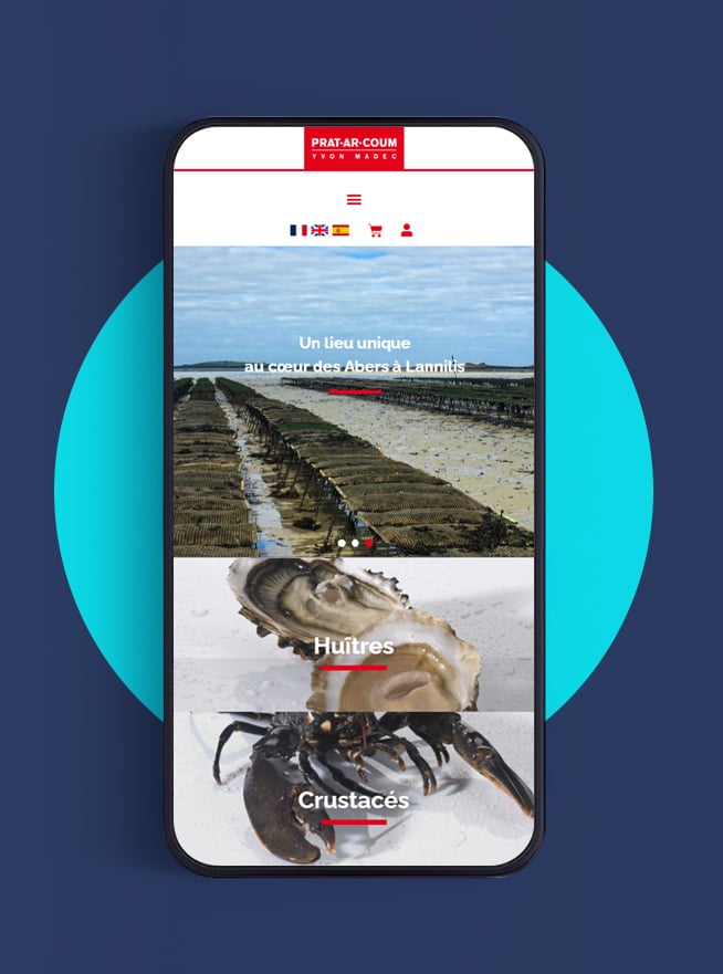 Agence web Brest Finistère ABERGRAPHIQUE : création site vitrine pour ostréiculteur à Lannilis en responsive design